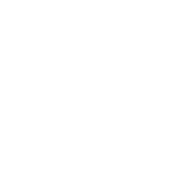 Meat